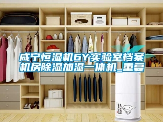知識(shí)百科咸寧恒濕機(jī)6Y實(shí)驗(yàn)室檔案機(jī)房除濕加濕一體機(jī)_重復(fù)