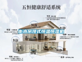 知識百科衡水吊頂式恒溫恒濕機