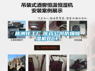 企業新聞株洲化工廠,醫藥公司防爆除濕機BCF