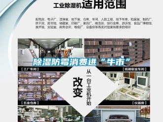 常見問題除濕防霉消費進“牛市”