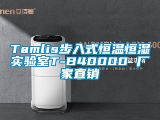 常見問題Tamlis步入式恒溫恒濕實驗室T-B40000 廠家直銷