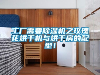行業(yè)新聞工廠需要除濕機之玫瑰花烘干機與烘干房的配型！
