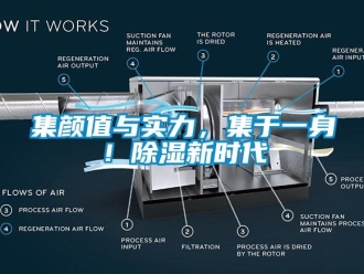 行業新聞集顏值與實力，集于一身！除濕新時代