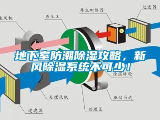 企業新聞地下室防潮除濕攻略，新風除濕系統不可少！