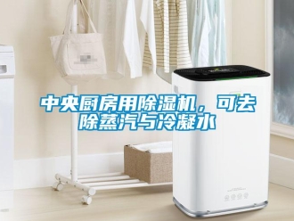 知識百科中央廚房用除濕機，可去除蒸汽與冷凝水