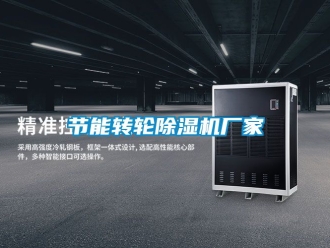 企業(yè)新聞節(jié)能轉(zhuǎn)輪除濕機(jī)廠家