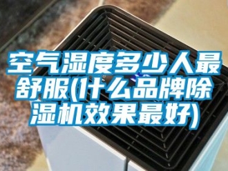 企業新聞空氣濕度多少人最舒服(什么品牌除濕機效果最好)