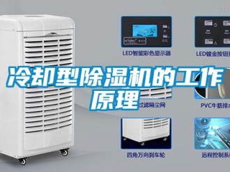 行業新聞冷卻型除濕機的工作原理