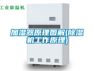 行業(yè)新聞加濕器原理圖解(除濕機(jī)工作原理)