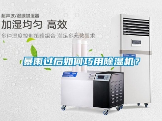常見問題暴雨過后如何巧用除濕機？