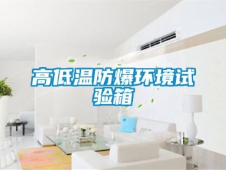 企業新聞高低溫防爆環境試驗箱