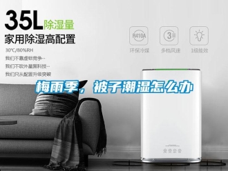 常見問題梅雨季，被子潮濕怎么辦