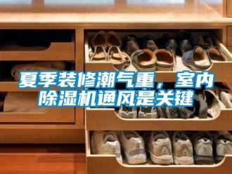 知識百科夏季裝修潮氣重，室內除濕機通風是關鍵