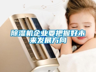 常見(jiàn)問(wèn)題除濕機(jī)企業(yè)要把握好未來(lái)發(fā)展方向