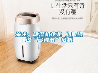 常見問題關(guān)注：除濕機(jī)企業(yè) 如何繞過“多得很”危機(jī)
