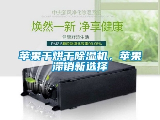 行業新聞蘋果干烘干除濕機，蘋果滯銷新選擇