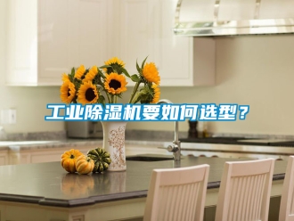 常見問題工業除濕機要如何選型？