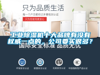 常見問題工業除濕機十大品牌有沒有權威一點的，公司要買很多？