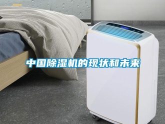 知識百科中國除濕機的現狀和未來