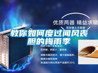 常見問題教你如何度過聞風喪膽的梅雨季