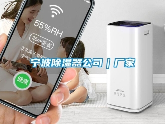 行業(yè)新聞寧波除濕器公司｜廠家