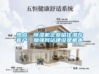 行業新聞熱點：除濕機企業留住潛在客戶，加強網站建設是根本