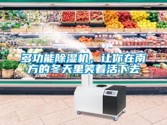 企業(yè)新聞多功能除濕機(jī)，讓你在南方的冬天里笑著活下去