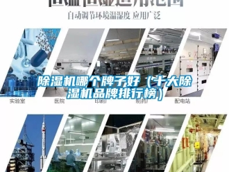 企業新聞除濕機哪個牌子好（十大除濕機品牌排行榜）
