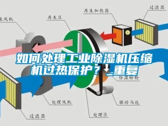常見問題如何處理工業除濕機壓縮機過熱保護？_重復