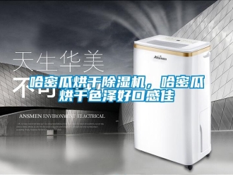 行業新聞哈密瓜烘干除濕機，哈密瓜烘干色澤好口感佳