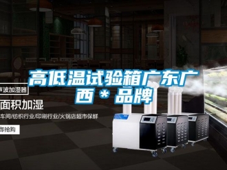 常見問題高低溫試驗(yàn)箱廣東廣西＊品牌