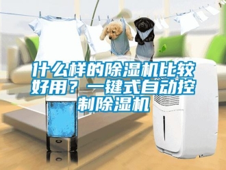 知識百科什么樣的除濕機比較好用？一鍵式自動控制除濕機