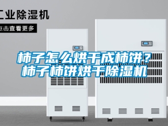 行業新聞柿子怎么烘干成柿餅？柿子柿餅烘干除濕機
