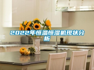 常見問題2022年恒溫恒濕機現狀分析
