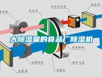行業新聞大除濕量的食品廠除濕機