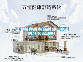 企業(yè)新聞除濕機(jī)有哪些品牌呢 除濕機(jī)什么品牌好
