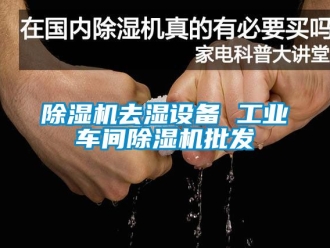 常見問題除濕機去濕設備 工業車間除濕機批發