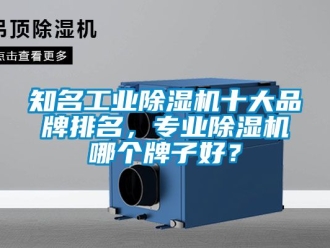 常見問題知名工業除濕機十大品牌排名，專業除濕機哪個牌子好？