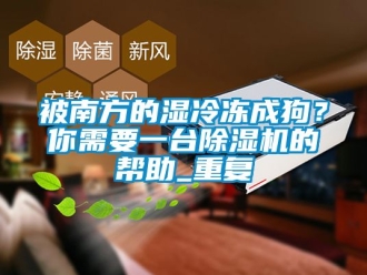 企業(yè)新聞被南方的濕冷凍成狗？你需要一臺(tái)除濕機(jī)的幫助_重復(fù)