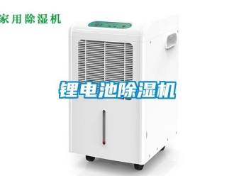 行業(yè)新聞鋰電池除濕機(jī)