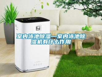 行業(yè)新聞室內(nèi)泳池除濕—室內(nèi)泳池除濕機有什么作用
