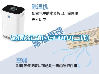 行業(yè)新聞吊頂除濕機(jī)_CFD10(二代)