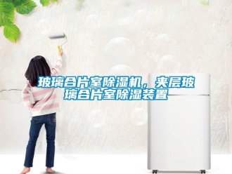 常見問題玻璃合片室除濕機，夾層玻璃合片室除濕裝置