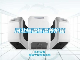 知識百科河北恒溫恒濕養護箱
