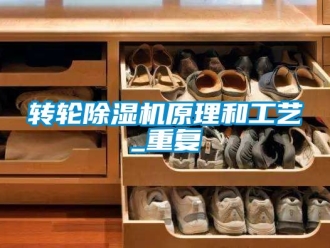 常見問題轉(zhuǎn)輪除濕機原理和工藝_重復