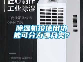 企業新聞除濕機按使用功能可分為哪幾類？