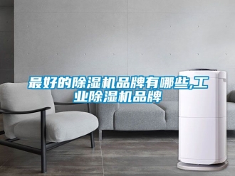 常見問題最好的除濕機品牌有哪些,工業除濕機品牌