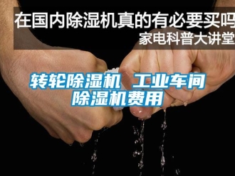 常見問題轉(zhuǎn)輪除濕機(jī) 工業(yè)車間除濕機(jī)費(fèi)用