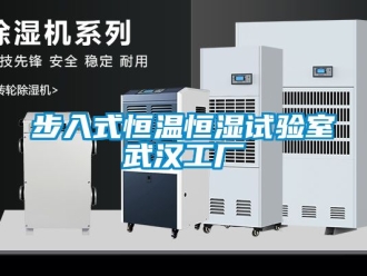 知識百科步入式恒溫恒濕試驗室武漢工廠