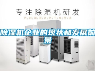 常見(jiàn)問(wèn)題除濕機(jī)企業(yè)的現(xiàn)狀和發(fā)展前景